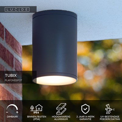 Lucide TUBIX - Plafondspot Binnen/Buiten - Ø 10,8 cm - 1xE27 - IP54 - Antraciet